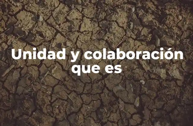 La importancia del trabajo conjunto en la sociedad