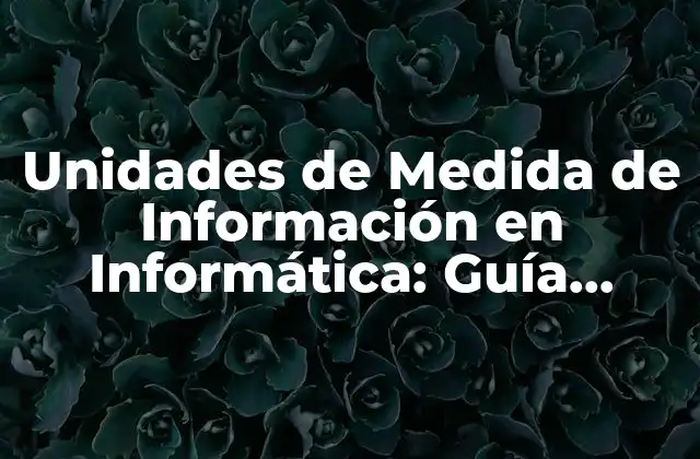 Unidades de Medida de Información en Informática: Guía Completa