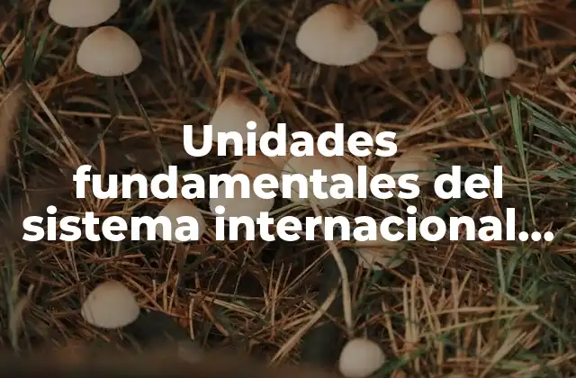 Unidades Fundamentales Del Sistema Internacional que es