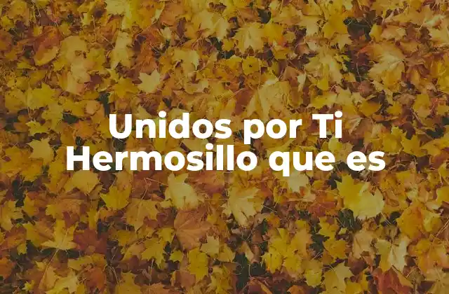 Unidos por Ti Hermosillo que es