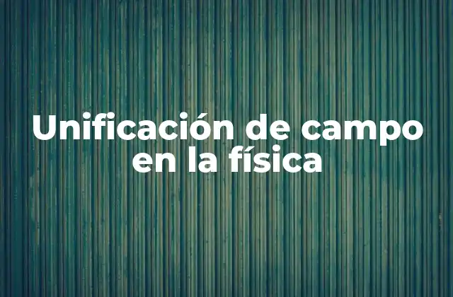 Unificación de Campo en la Física