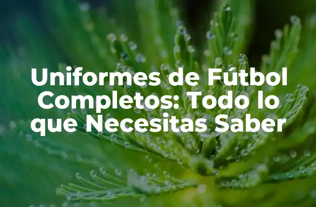 Uniformes de Fútbol Completos: Todo Lo que Necesitas Saber