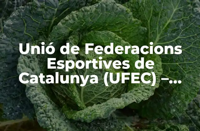 Unió de Federacions Esportives de Catalunya (ufec) – Entidad Deportiva Catalana