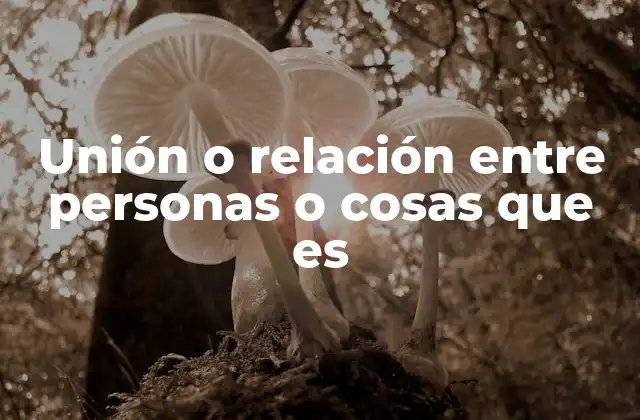 Unión o Relación entre Personas o Cosas que es