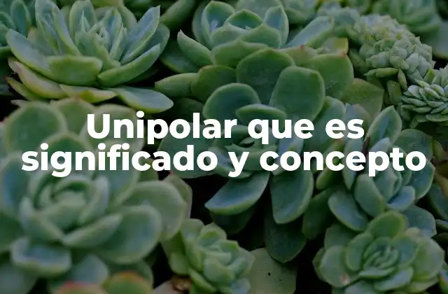 Unipolar que es Significado y Concepto