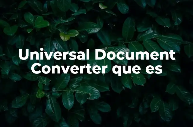Universal Document Converter que es