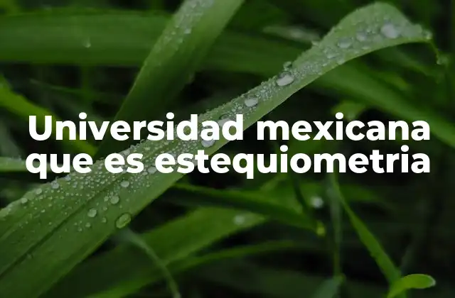 Universidad Mexicana que es Estequiometria