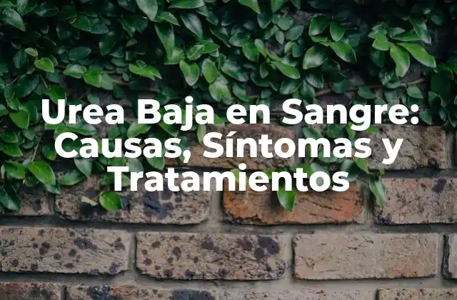Urea Baja en Sangre: Causas, Síntomas y Tratamientos