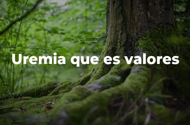 Uremia que es Valores