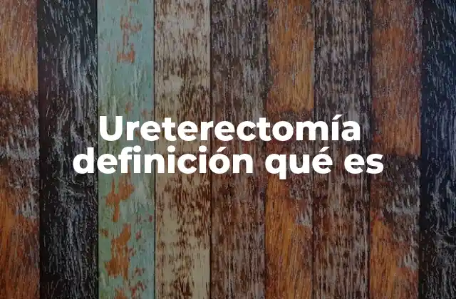 Ureterectomía Definición Qué es