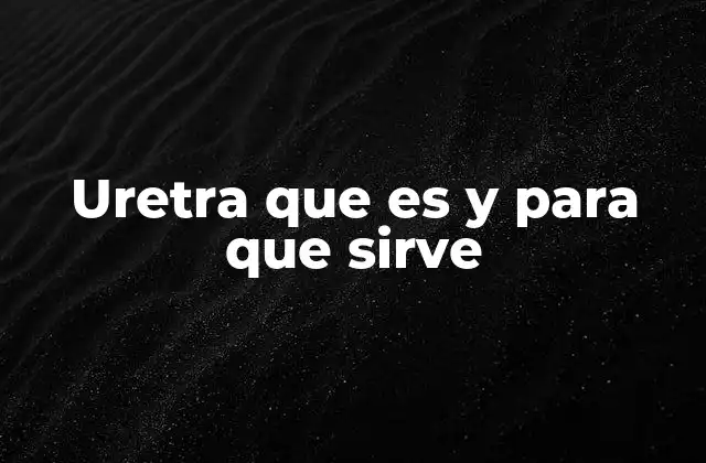 Uretra que es y para que Sirve 2 El papel de la uretra en el sistema urinario