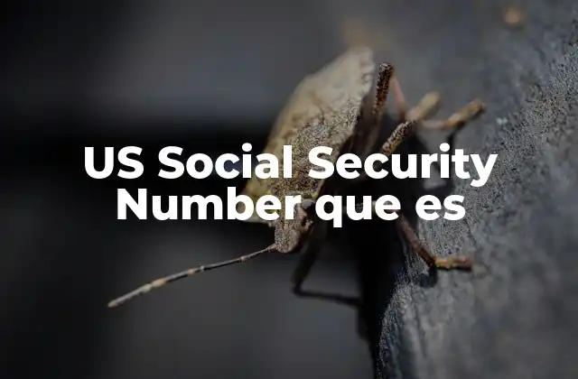 El rol del SSN en la vida cotidiana de los estadounidenses