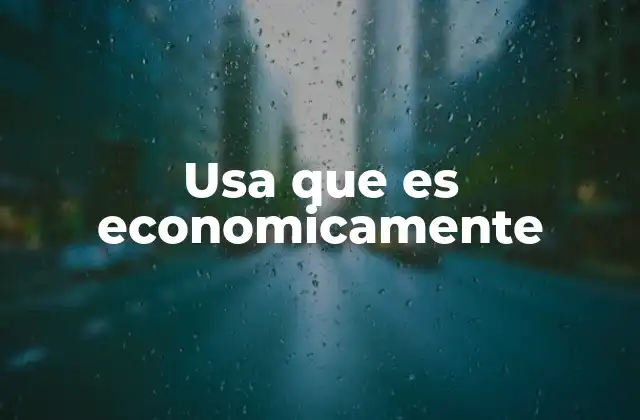 Usa que es Economicamente