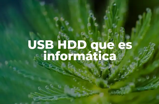 Usb Hdd que es Informática