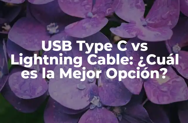 Usb Type C Vs Lightning Cable: ¿cuál es la Mejor Opción? 2 Historia y Desarrollo de USB Type C