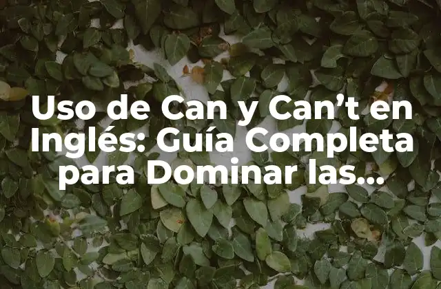 Uso de Can y Can’t en Inglés: Guía Completa para Dominar las Expresiones de Posibilidad