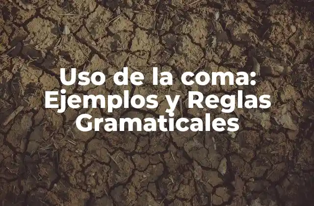 Uso de la Coma: Ejemplos y Reglas Gramaticales