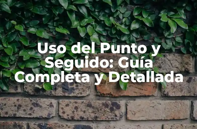 Uso Del Punto y Seguido: Guía Completa y Detallada