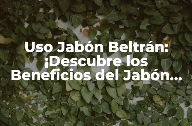 Uso Jabón Beltrán: ¡descubre los Beneficios Del Jabón Artisanal!