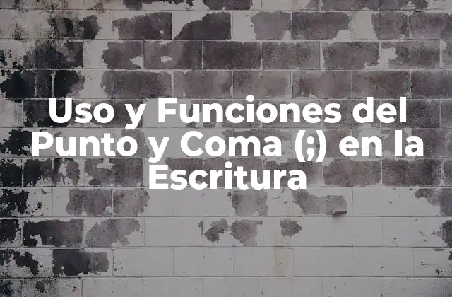 Uso y Funciones Del Punto y Coma (;) en la Escritura