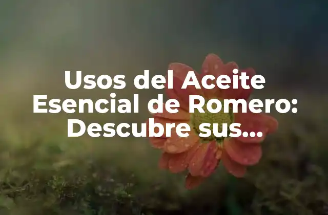 Usos Del Aceite Esencial de Romero: Descubre Sus Propiedades y Beneficios
