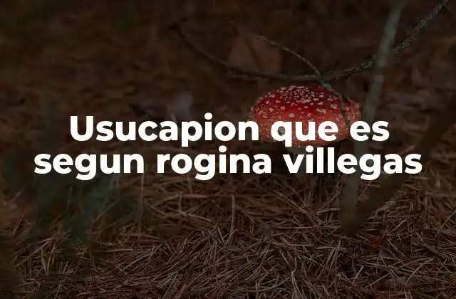 Usucapion que es Segun Rogina Villegas