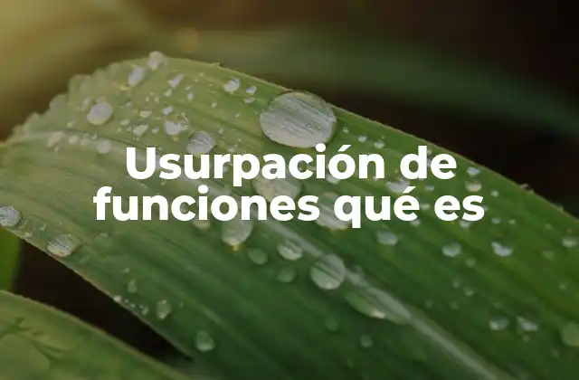 Usurpación de Funciones Qué es