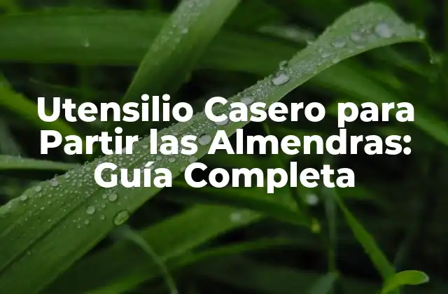 Utensilio Casero para Partir las Almendras: Guía Completa