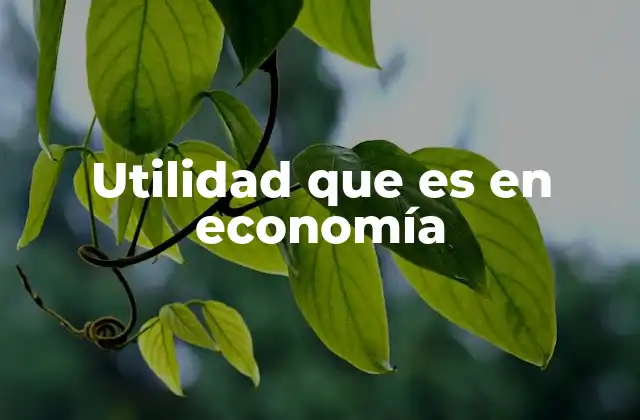 Utilidad que es en Economía 2 La utilidad como base de la teoría del consumidor