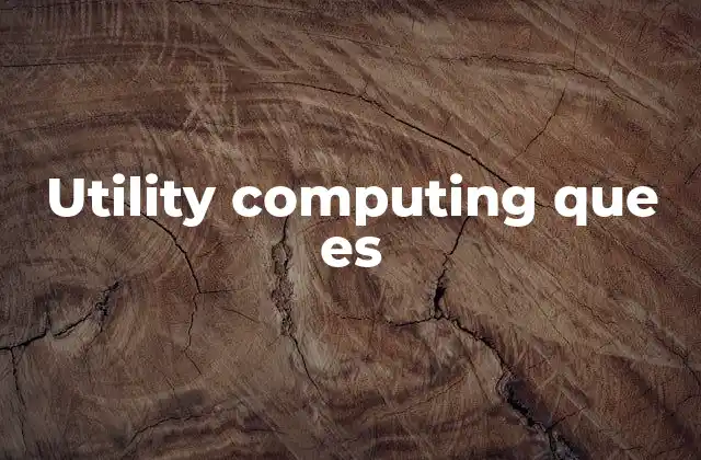 Utility Computing que es