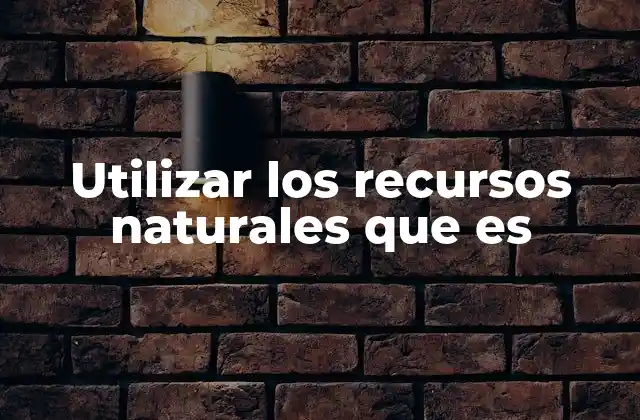 Utilizar los Recursos Naturales que es