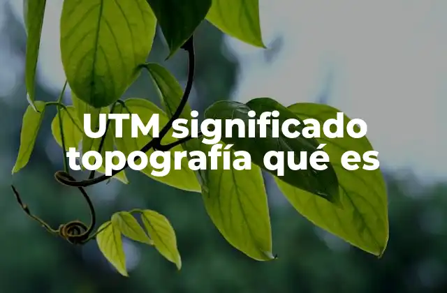 Utm Significado Topografía Qué es