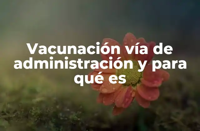 Vacunación Vía de Administración y para Qué es 2 Cómo el método de administración afecta la eficacia de la vacuna
