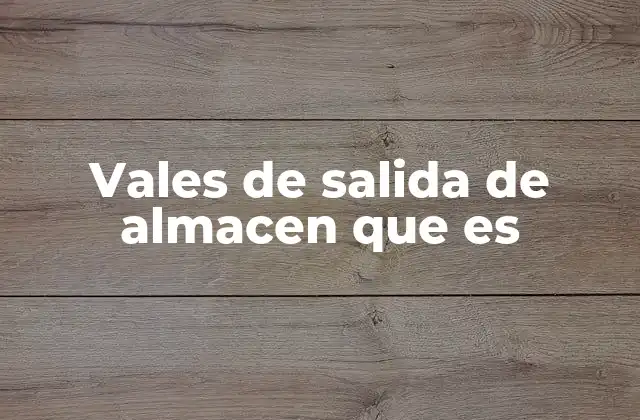 Vales de Salida de Almacen que es