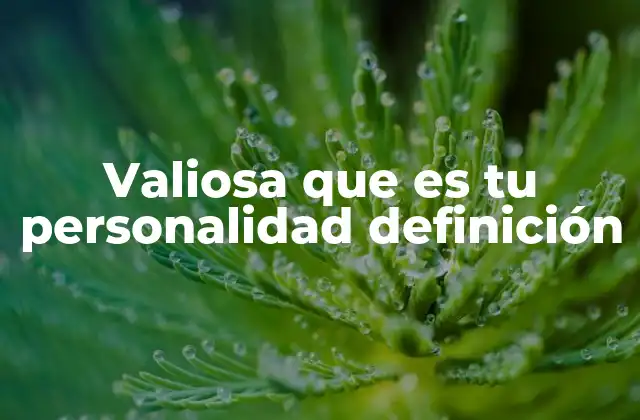 Valiosa que es Tu Personalidad Definición