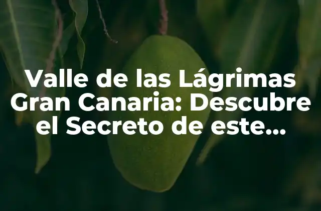 Valle de las Lágrimas Gran Canaria: Descubre el Secreto de Este Lugar Mágico