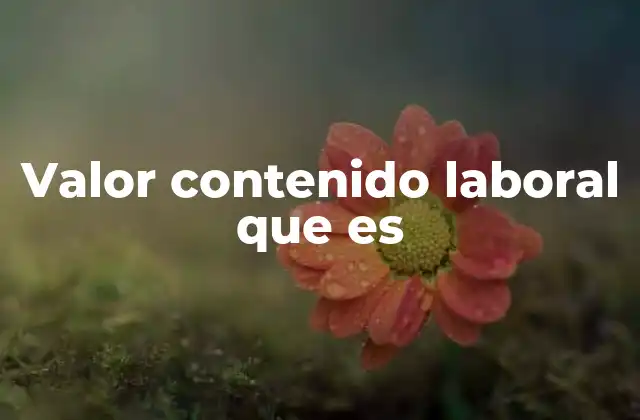Valor Contenido Laboral que es