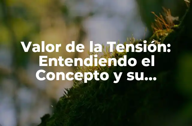 Valor de la Tensión: Entendiendo el Concepto y Su Importancia en la Física