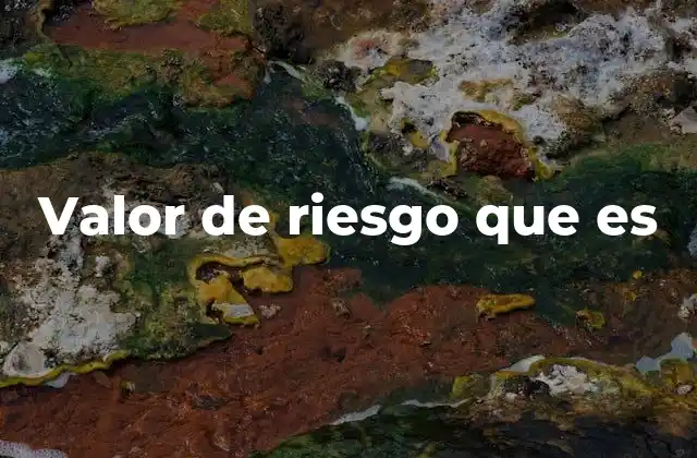 Valor de Riesgo que es