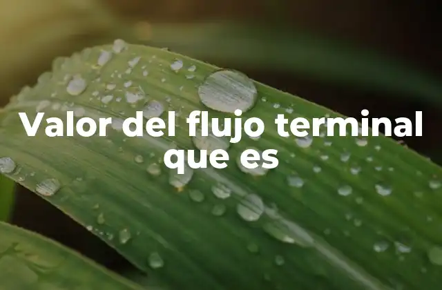 Valor Del Flujo Terminal que es 2 Importancia del terminal value en la valoración empresarial