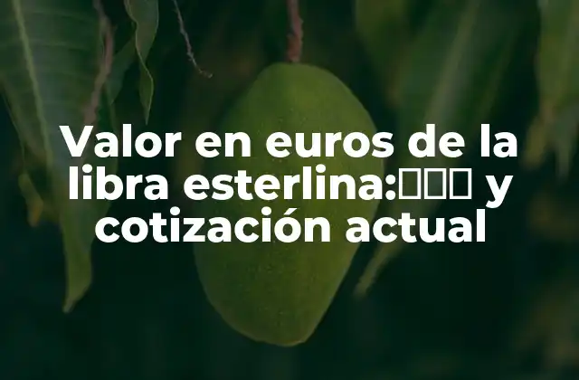 Valor en Euros de la Libra Esterlina:タイプ y Cotización Actual