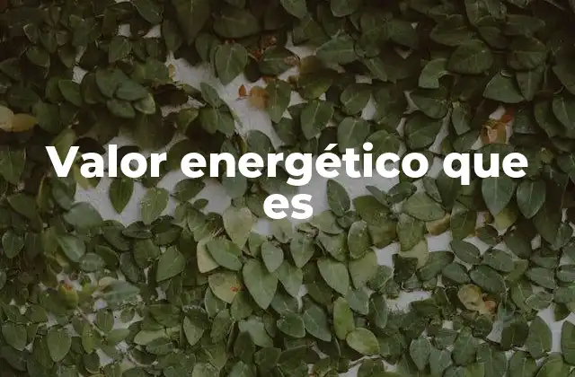 Valor Energético que es