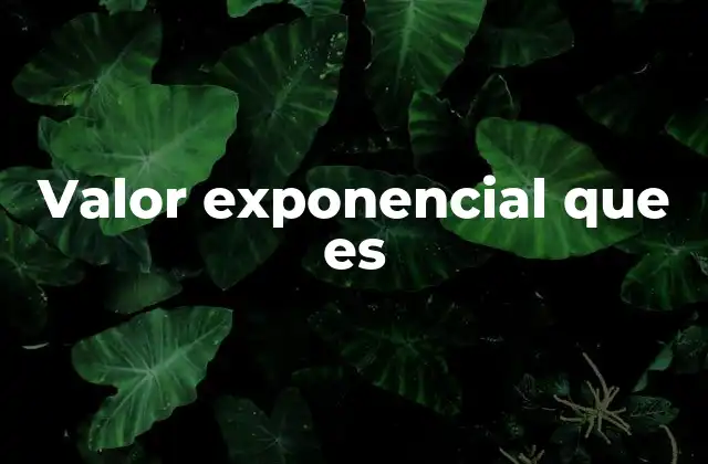 Valor Exponencial que es