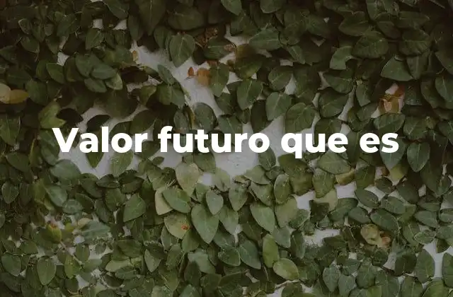 Valor Futuro que es