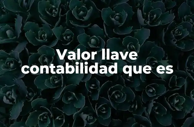 Valor Llave Contabilidad que es