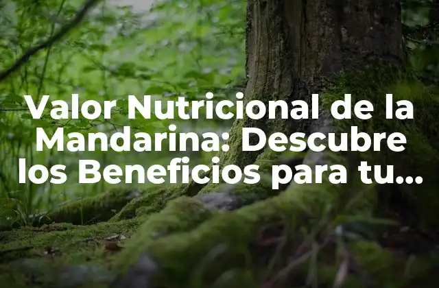 Valor Nutricional de la Mandarina: Descubre los Beneficios para Tu Salud