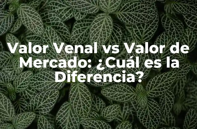 Valor Venal Vs Valor de Mercado: ¿cuál es la Diferencia?
