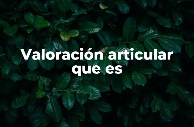 Valoración Articular que es