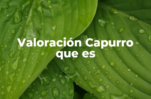 Valoración Capurro que es 2 Aplicaciones de la valoración Capurro en la industria
