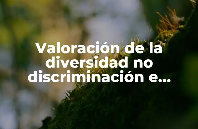 Valoración de la Diversidad No Discriminación e Interculturalidad que es